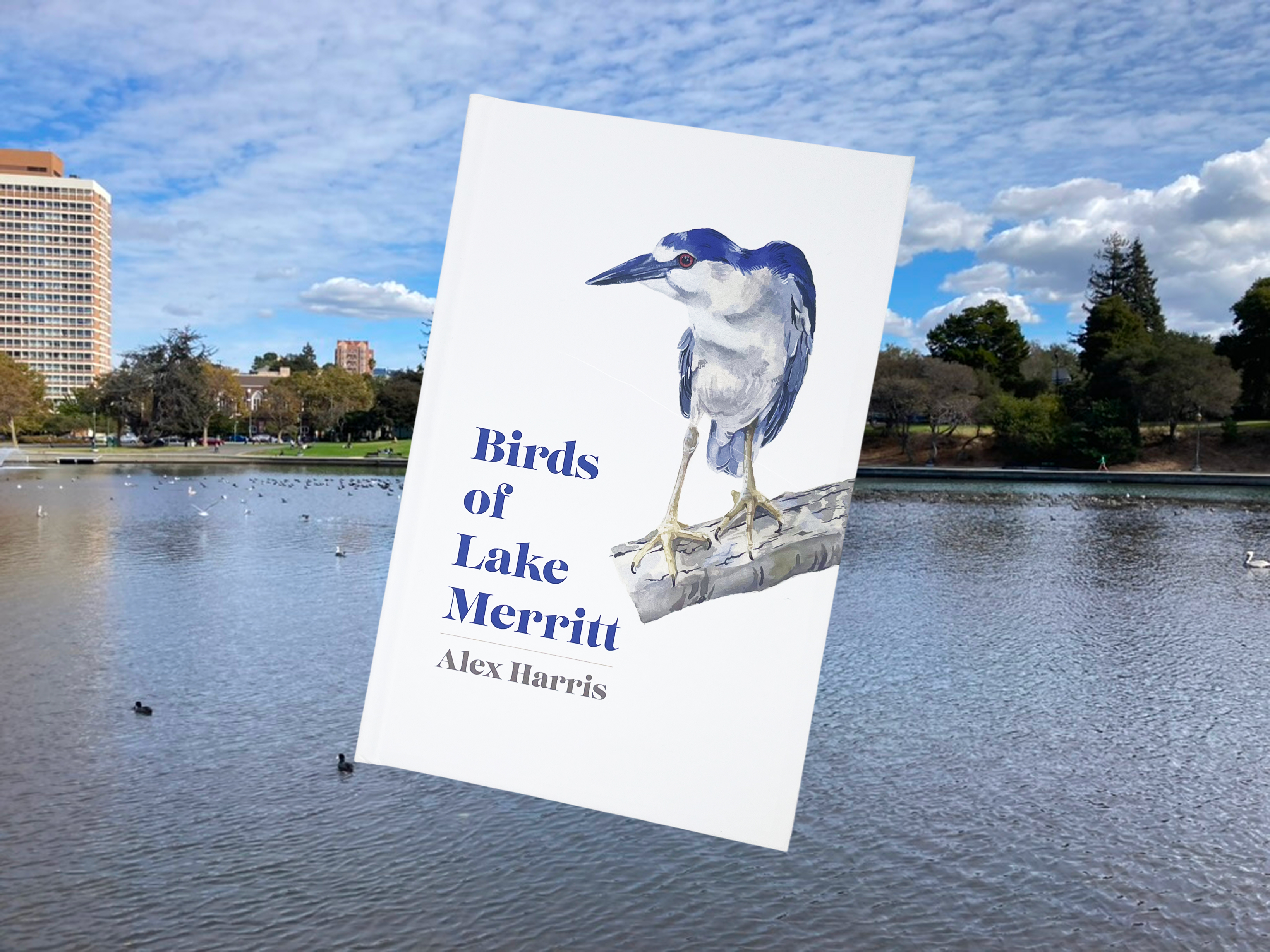 Birds of Lake Merritt book cover